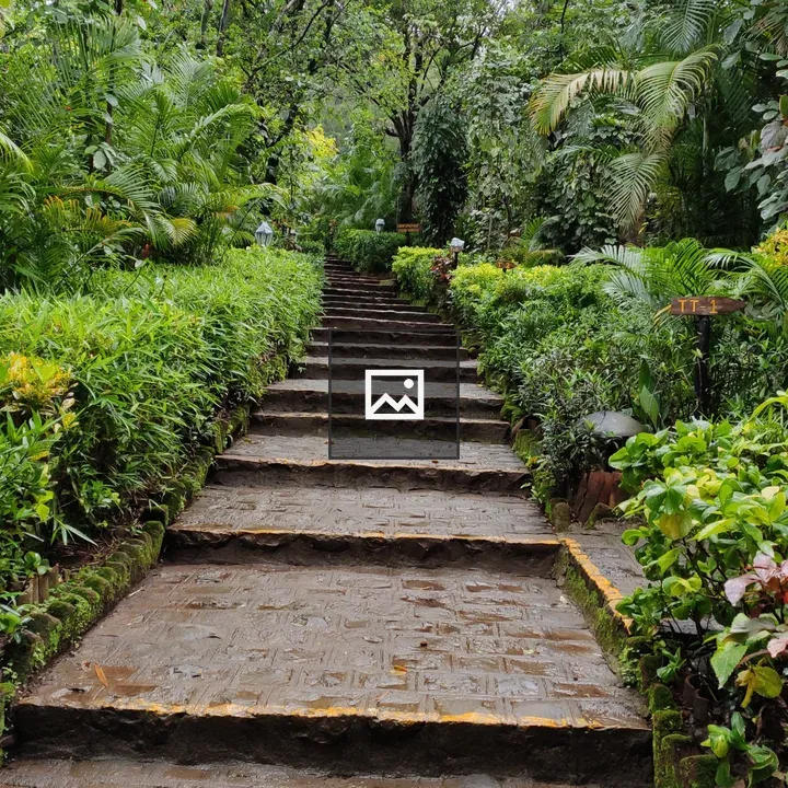 Stone Path Through Garden Forest