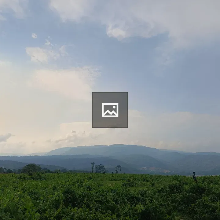 Lush green landscape with cloudy sky