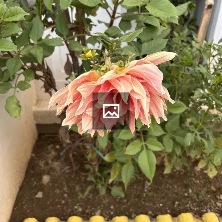 Blooming Flower with Green Foliage