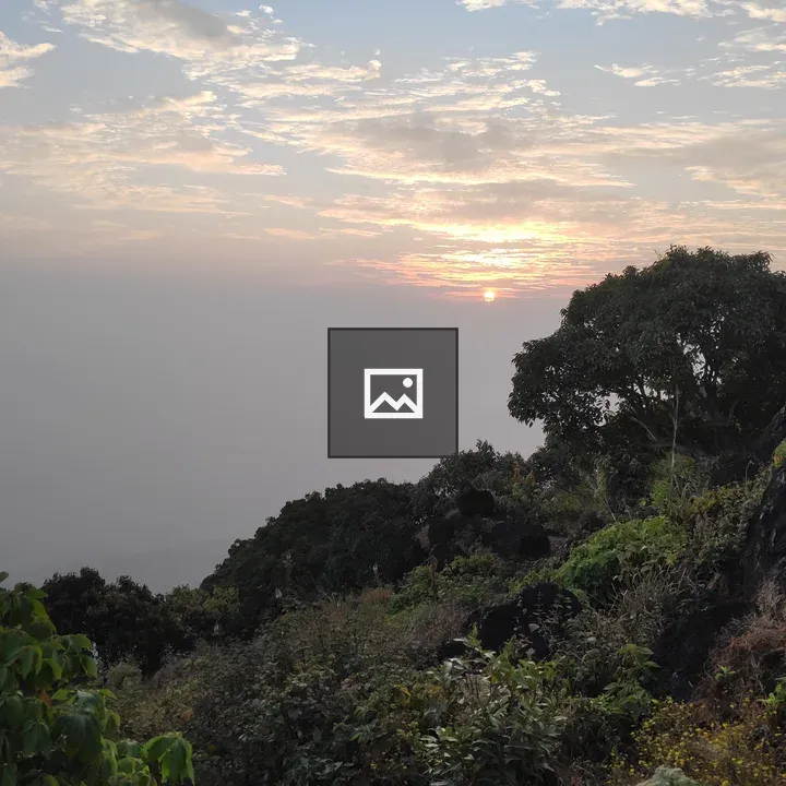 Trees, Hill, Nature and Sun