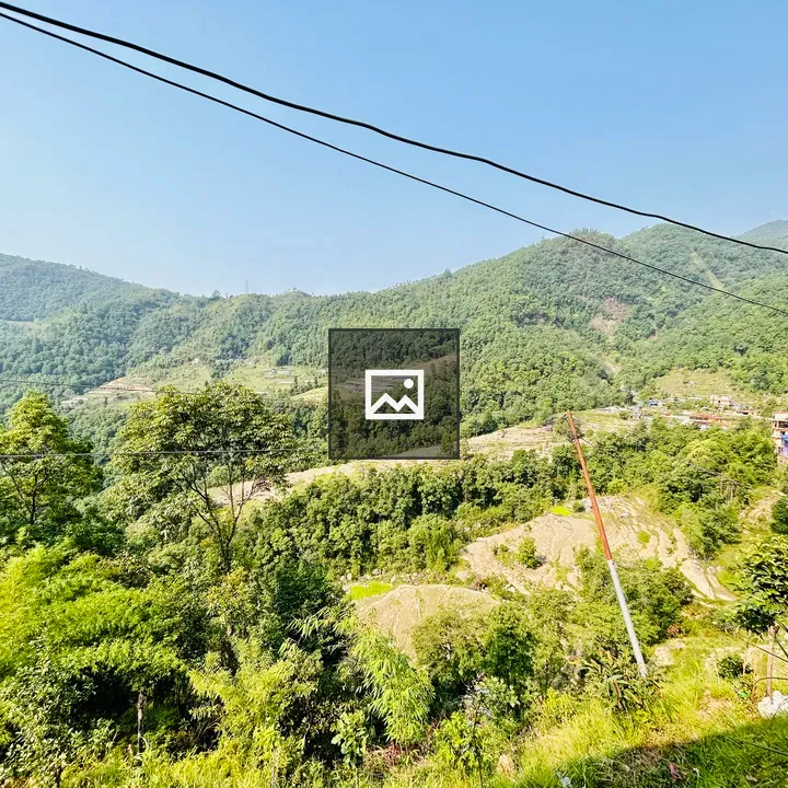 Road side greenery view of Nepal
