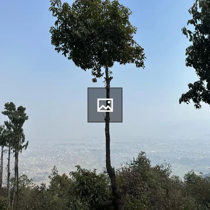 Hillside View with Trees and City Landscape