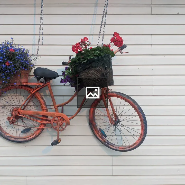 Bike Against White Wall with Flowers