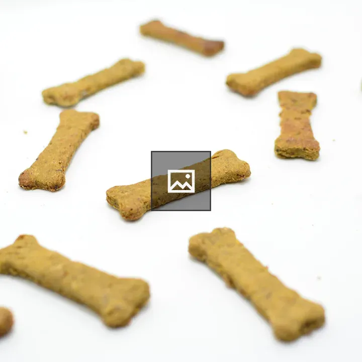 Bone shaped dog treats biscuits
