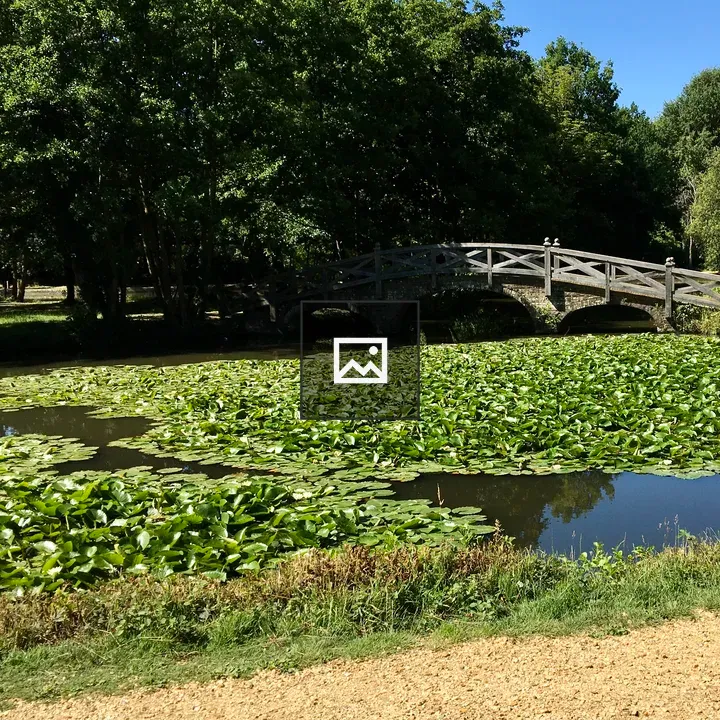 Hampshire park foot bridge scene