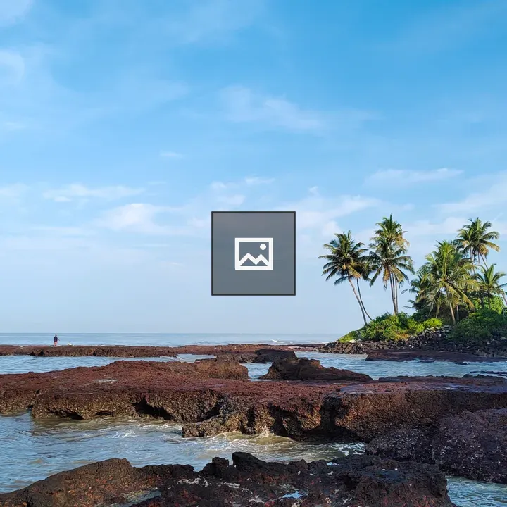 Rocky Beach with Coconut Trees