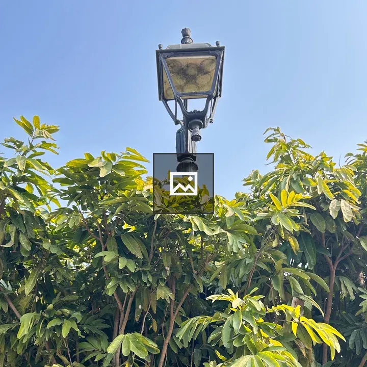 Tall vintage street lamp