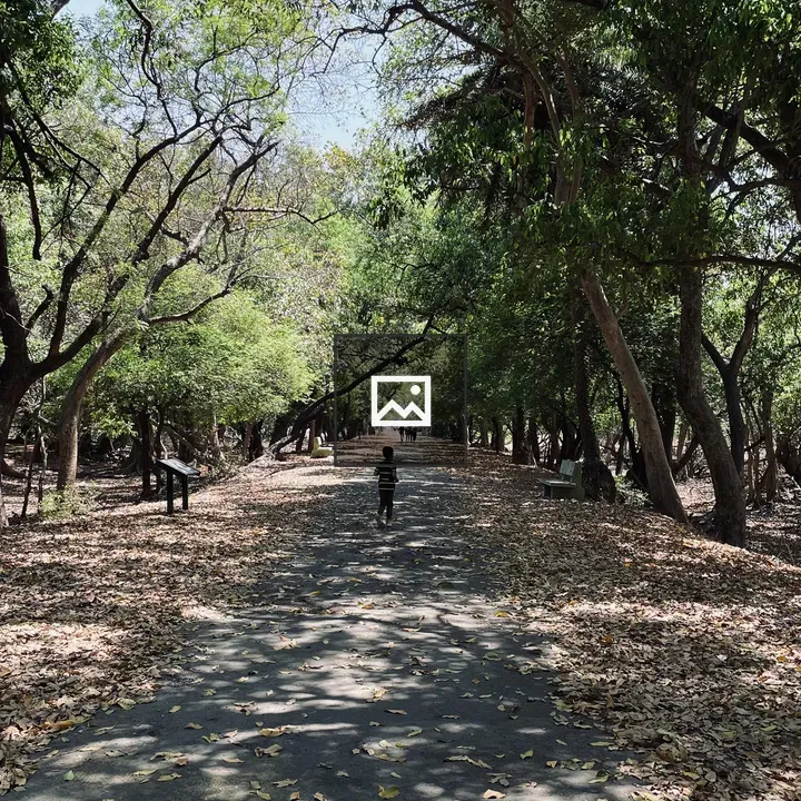 Boy running along a sunlit path