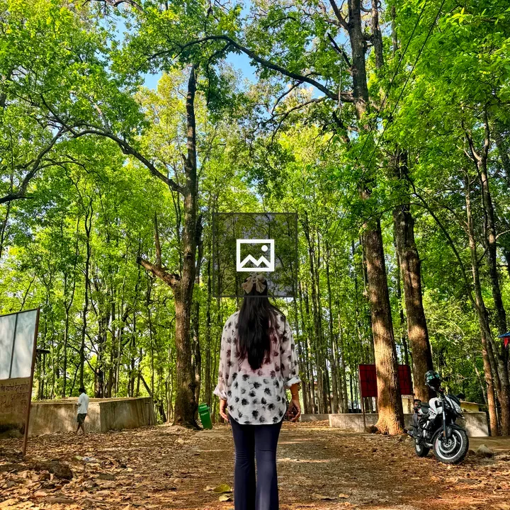 Person in Floral Shirt on Leafy Path