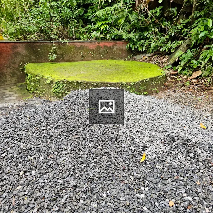 Mossy Cement Platform at Thusharagiri Falls