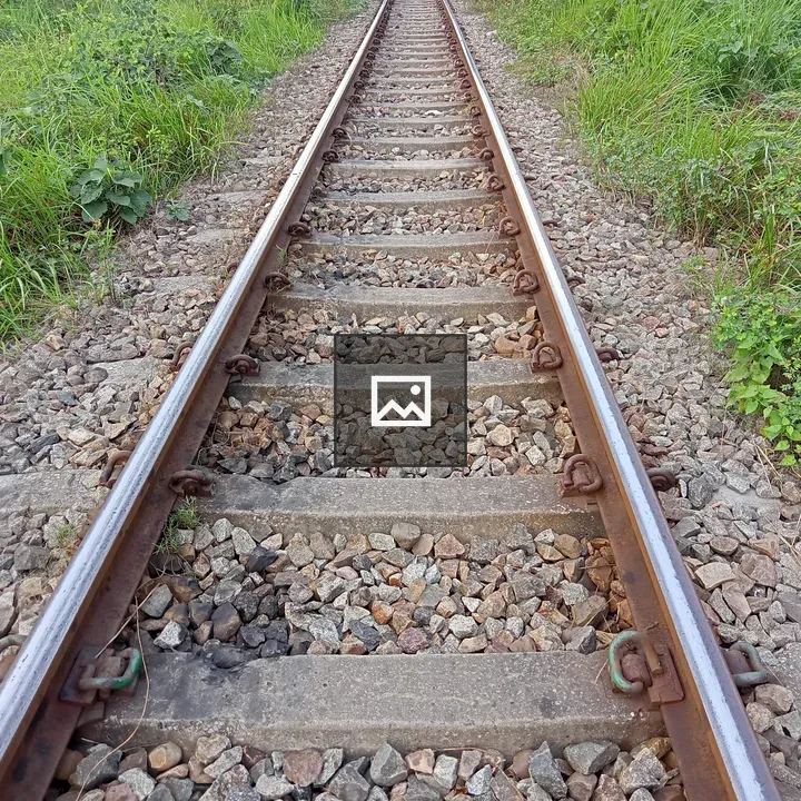 Railway track with bushes