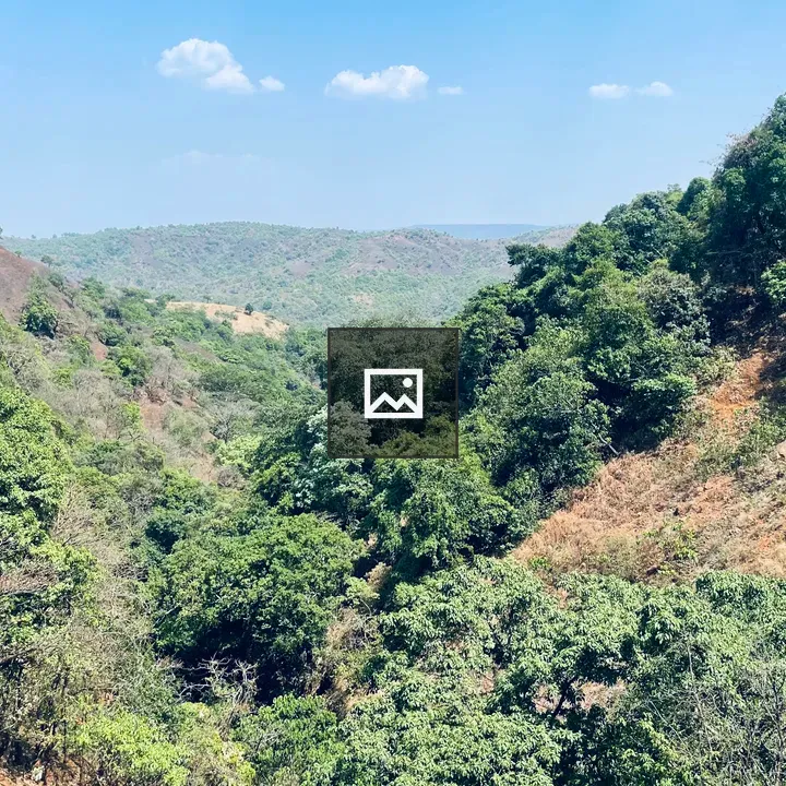 Scenic Sahyadri View
