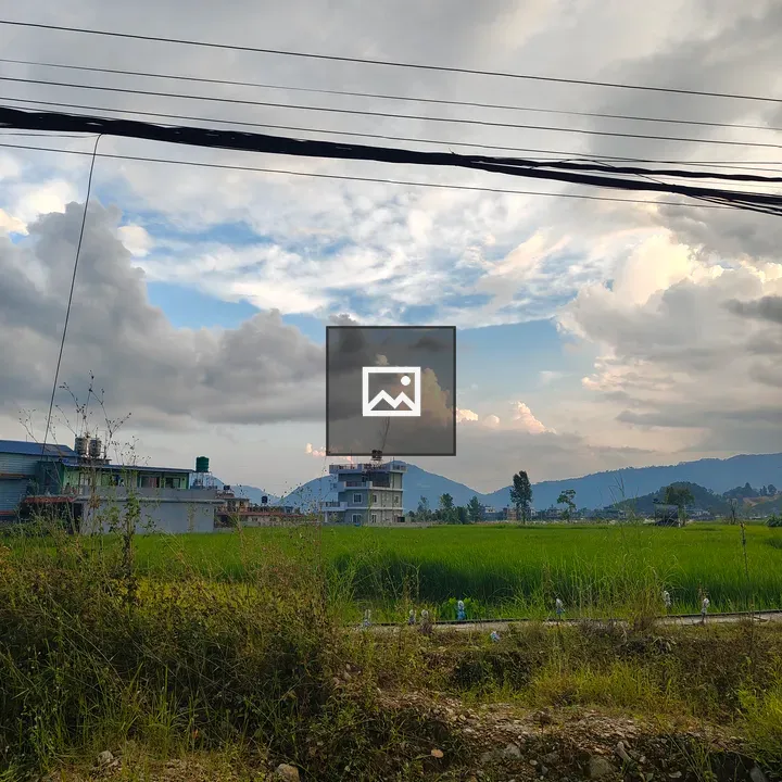 Rice field with mountain backdrop