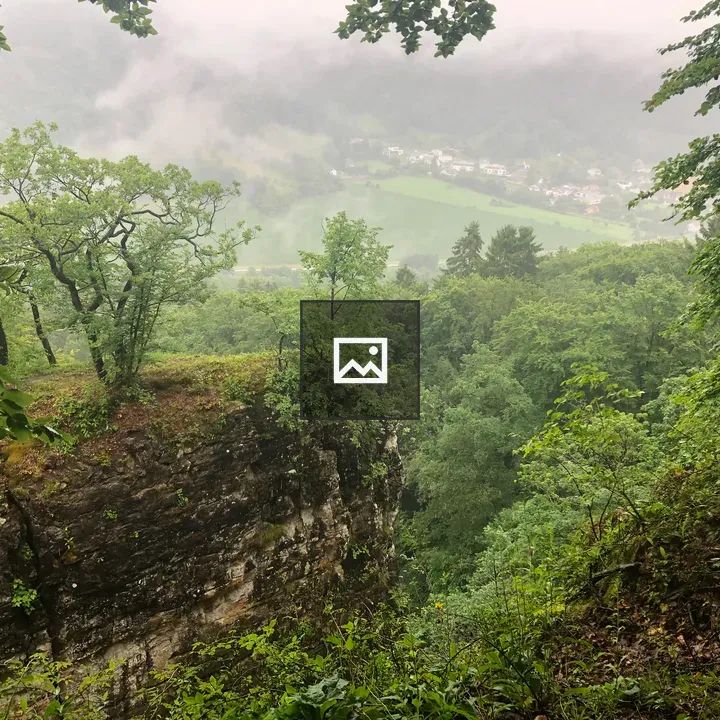Mist in a forest valley