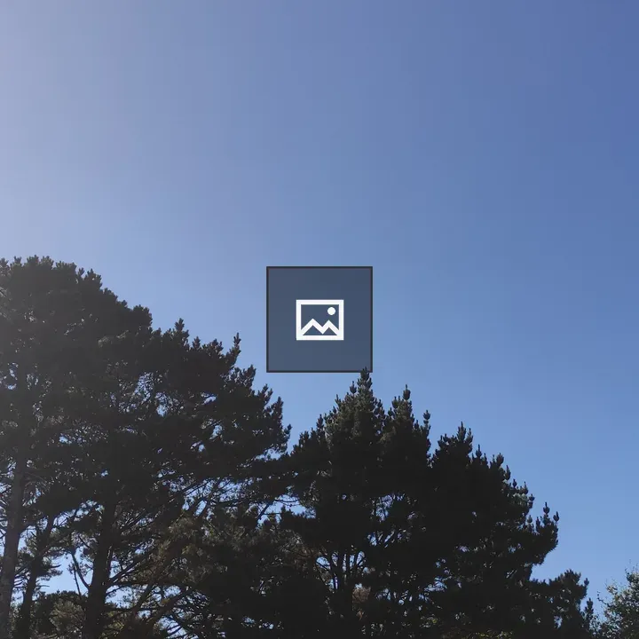 Pine Tree and Blue Sky