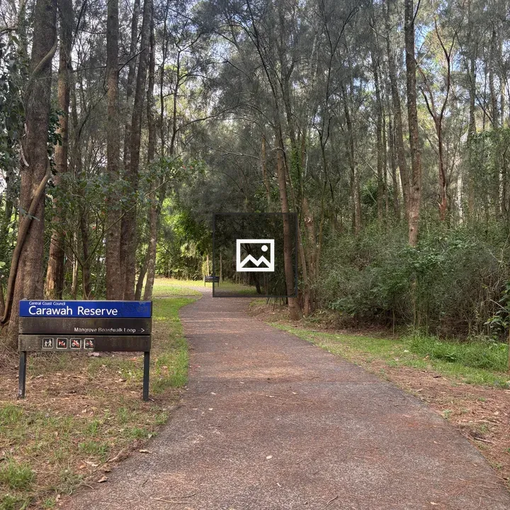 Carawah Reserve Forest Path