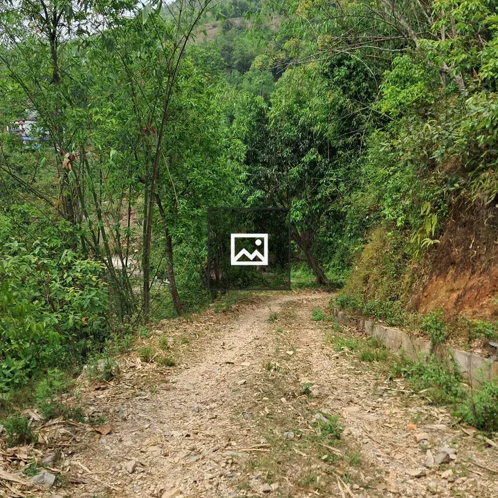 Narrow dirt path through green landscape