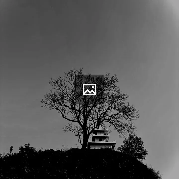 Silhouetted Tree and Tiered Building