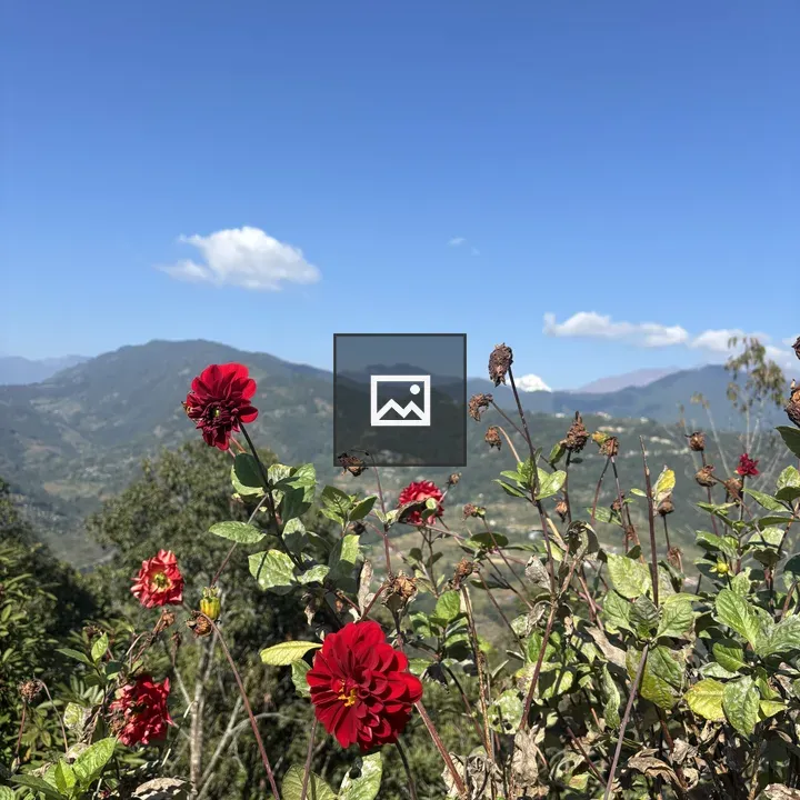 Red Flower in Green Foliage