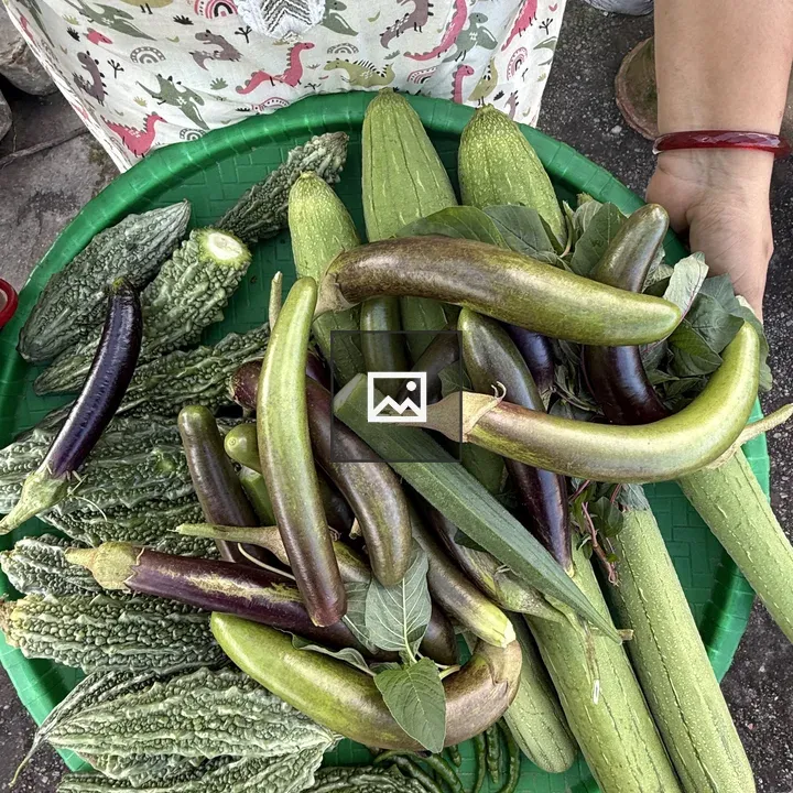 Green Vegetable Basket