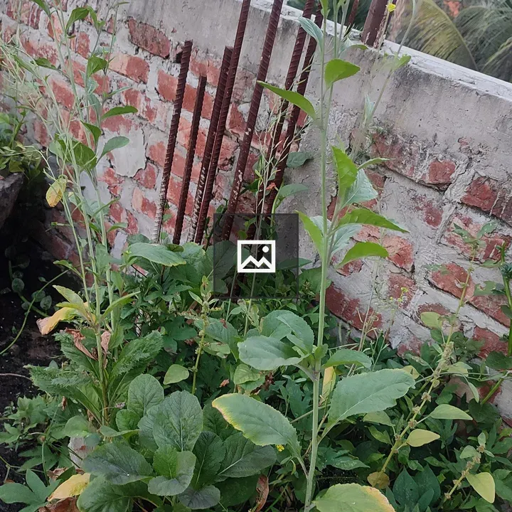Vertical planter with flowering stalks and greens