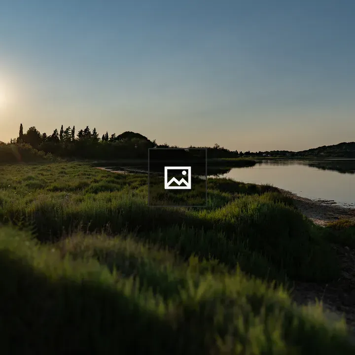 Salt meadows at Etang de Gruissan
