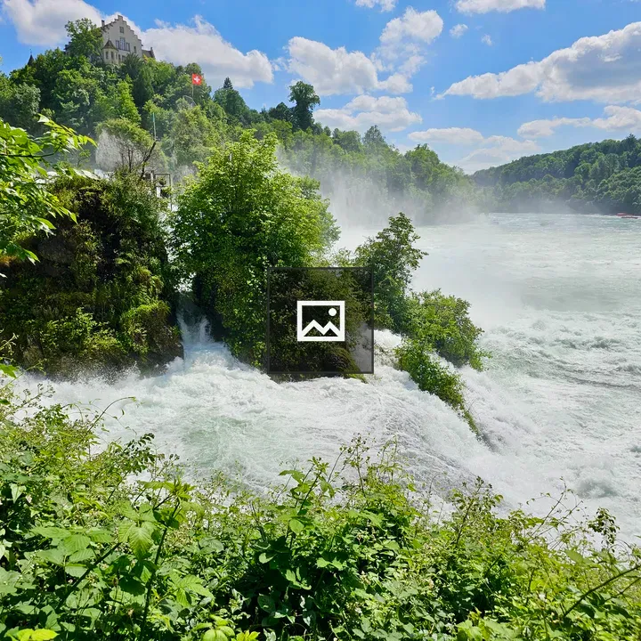 Waterfall with Green Plants and Swiss Flag
