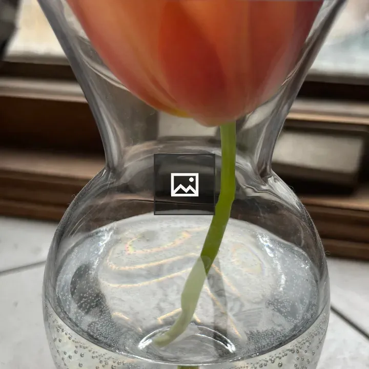 One Tulip
