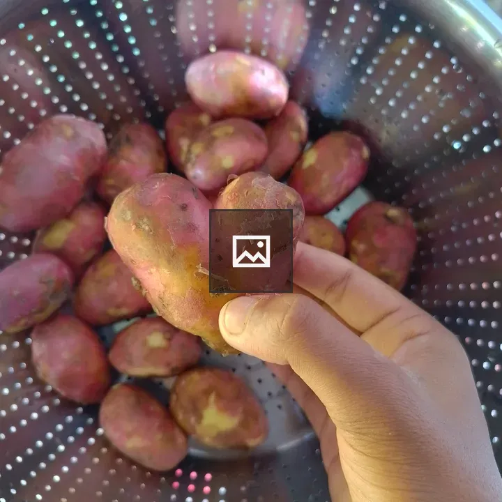 Heart Shaped Potato in Hand