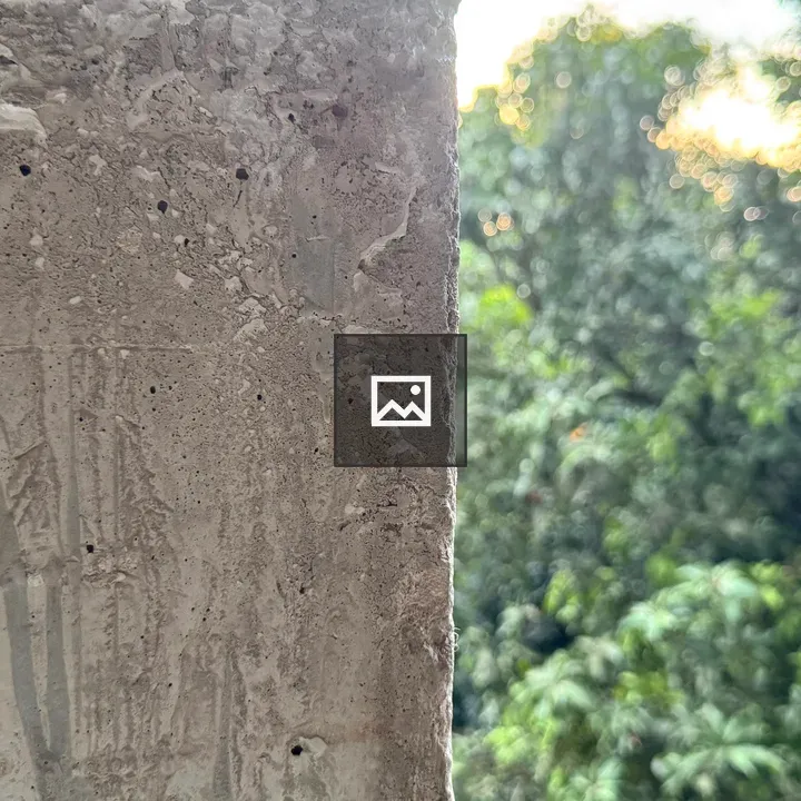 Concrete pillar and sunlit tree