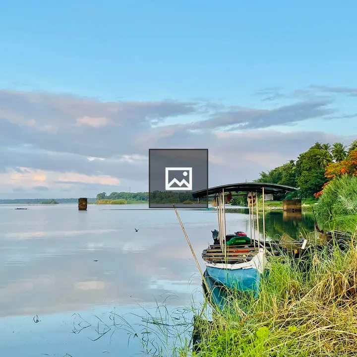 River scene with abandoned boat