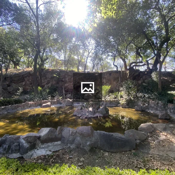 Pond in Green Landscape