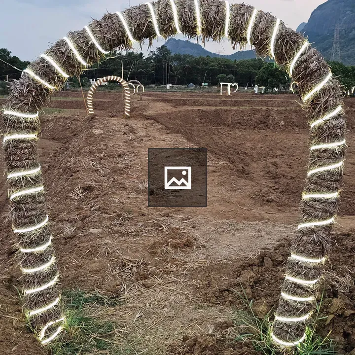 Archway with Dried Grass and Lights