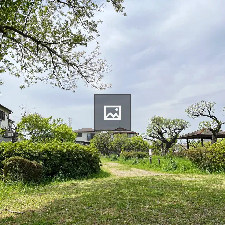 Path Across Narashino Plum Grove