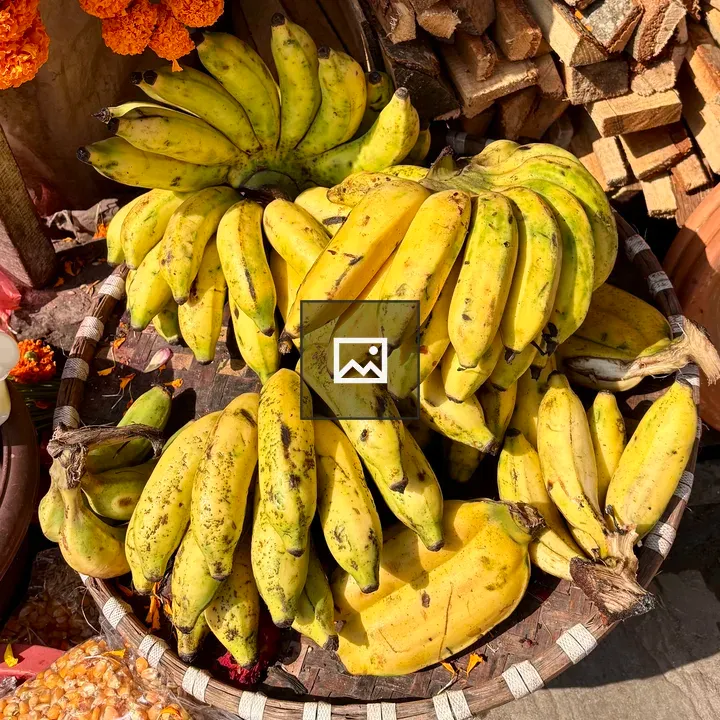 Ripe yellow bananas in basket