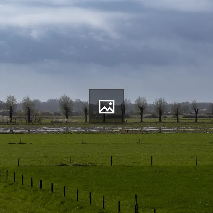 Floodplain Meadow and Road with Willows