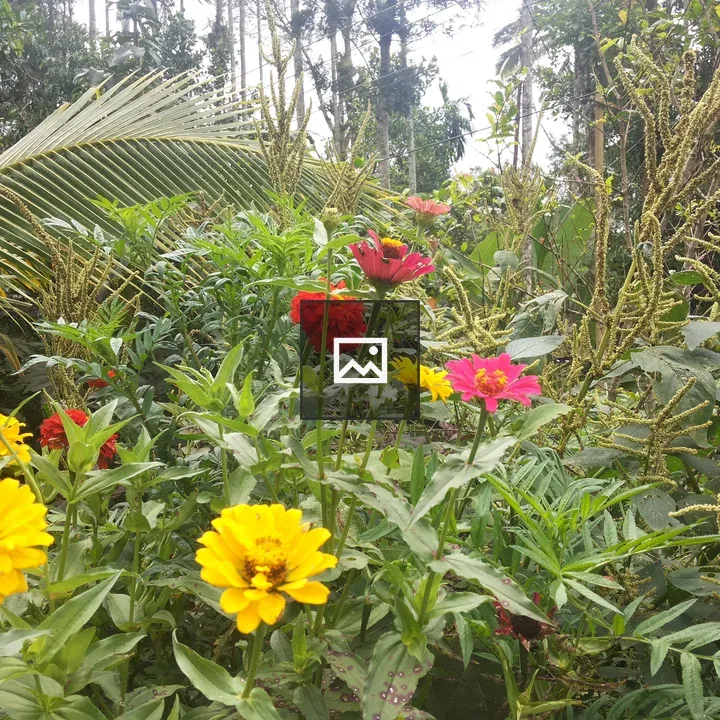 Garden with Bright Flowers