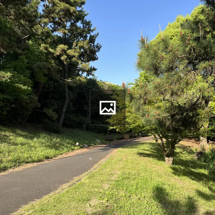Road through Green Nature