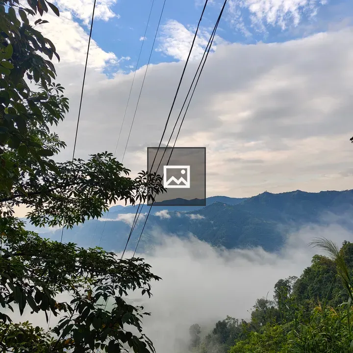 Green Mountains with Mist and Trees