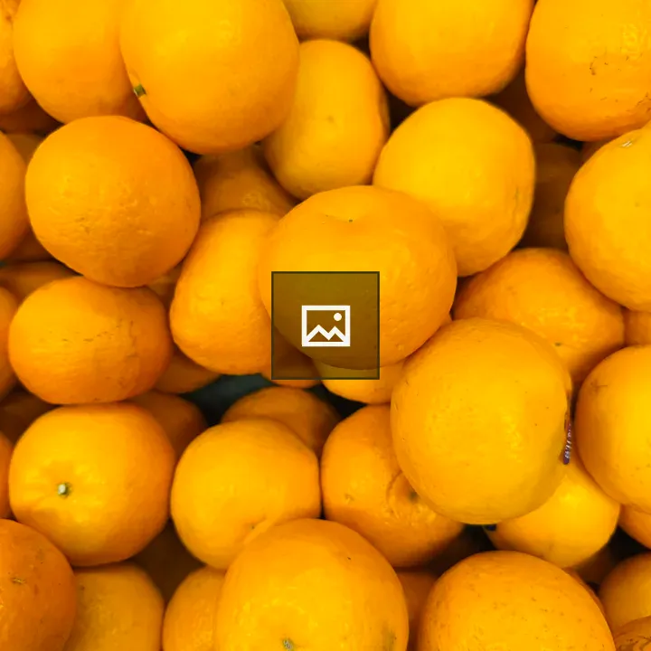 Orange Citrus Close-Up