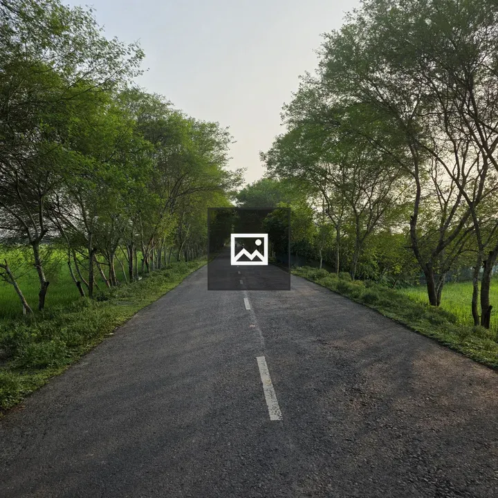 Countryside Road with Trees