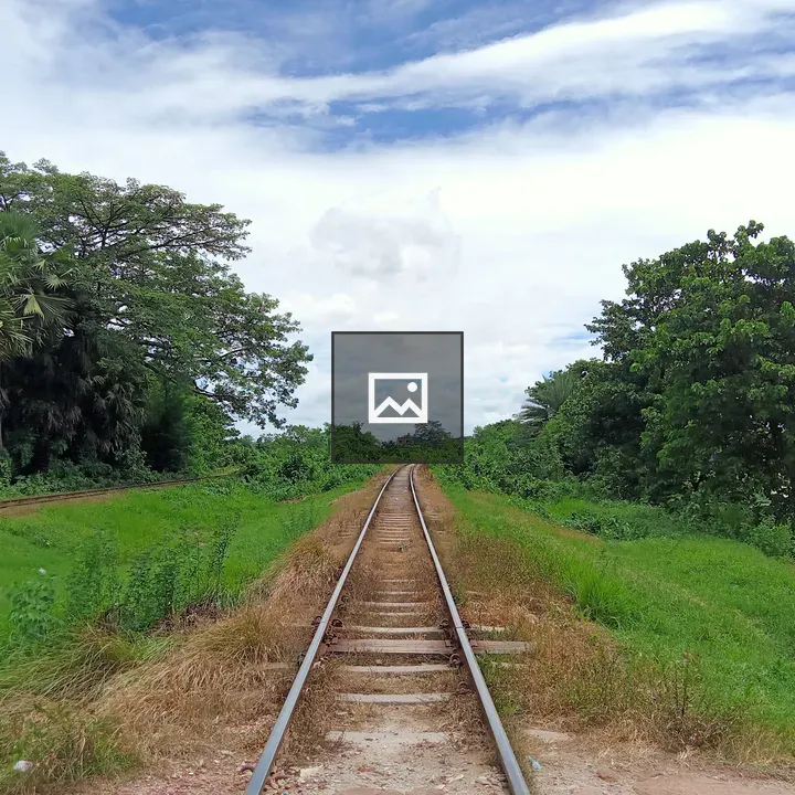 Railway Track in Greenery