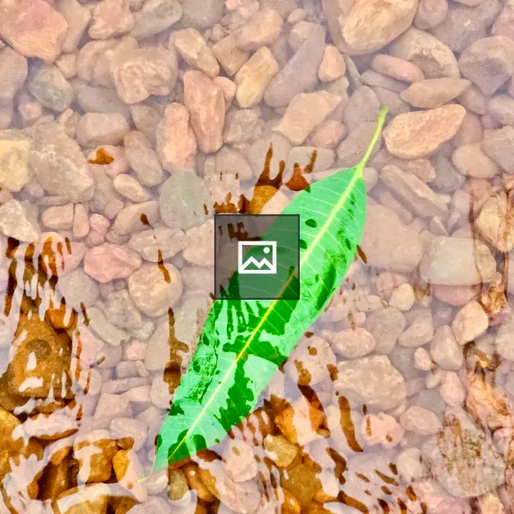 Green leaf in flowing water