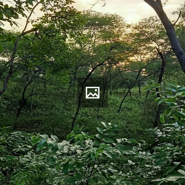 Forest in Green Portrait