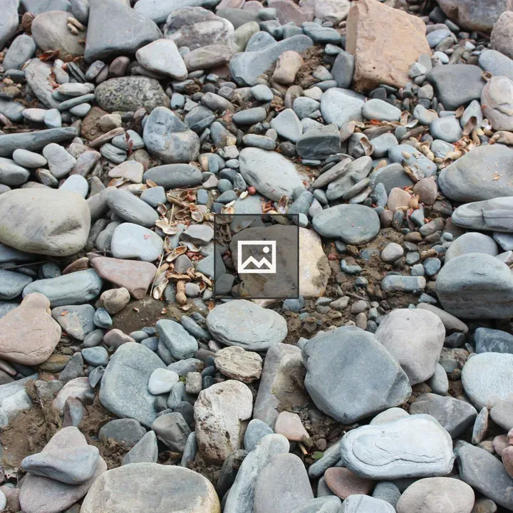 Rocks and Pebbles Along Pathway