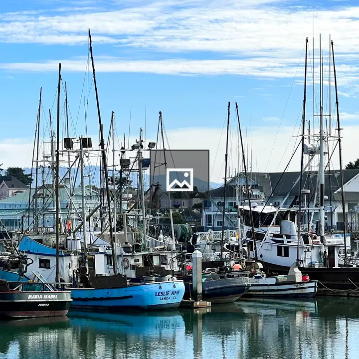 Foshing Boats in Harbor