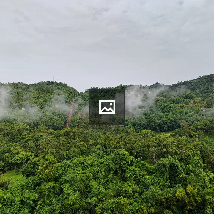 Forest on Sloped Terrain