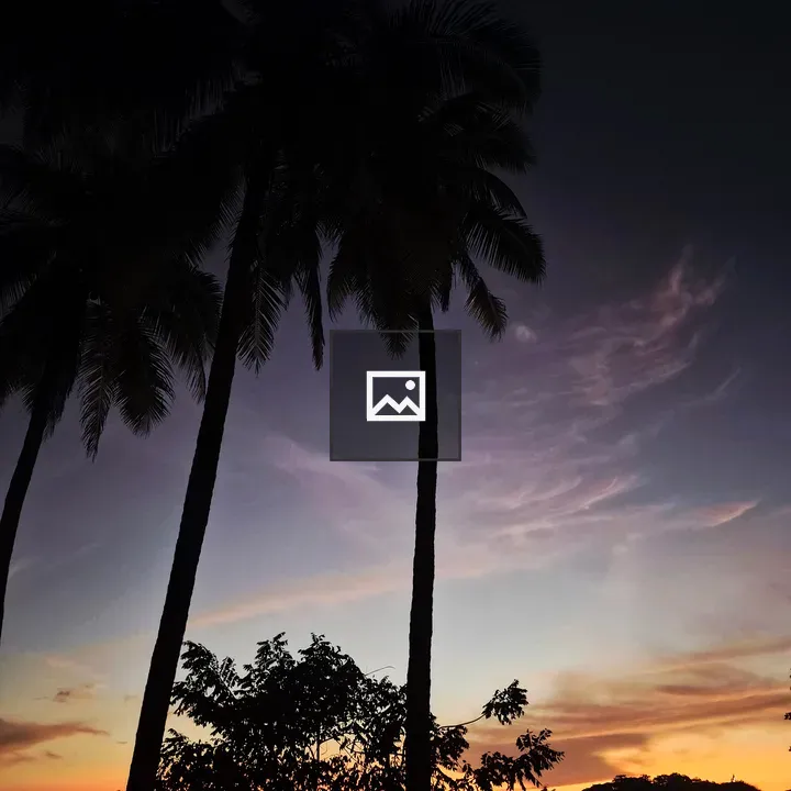 Sunset with Palm Silhouettes