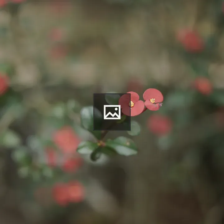 Two red blossoms on a branch