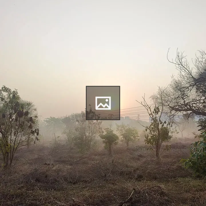 Sunrise over misty landscape